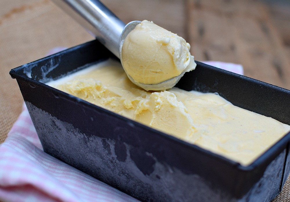 Vanilla bean ice cream
