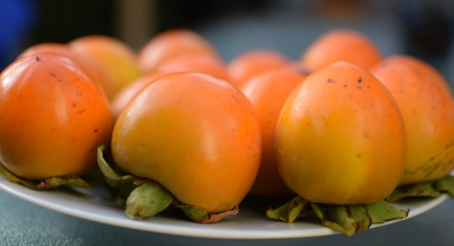 Ripe Persimmons