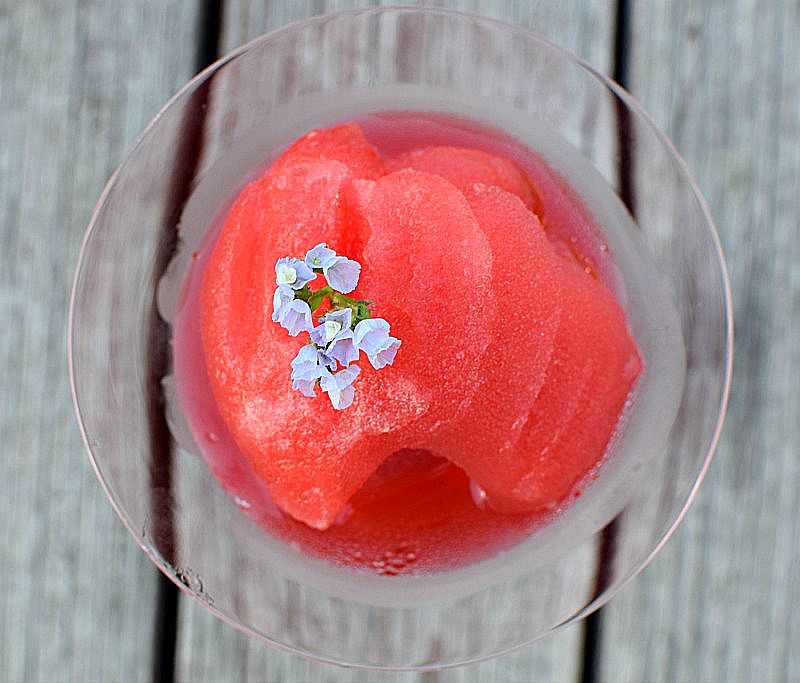 red wine sorbet