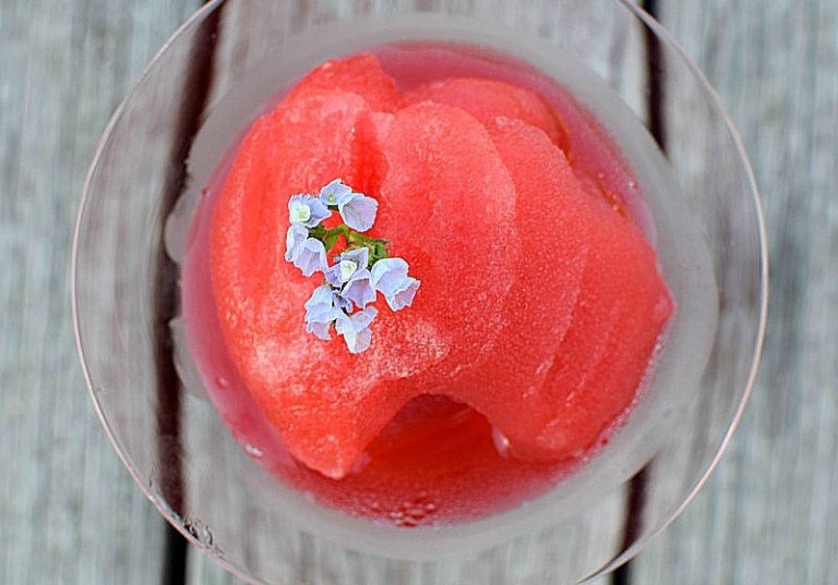red wine sorbet recipe
