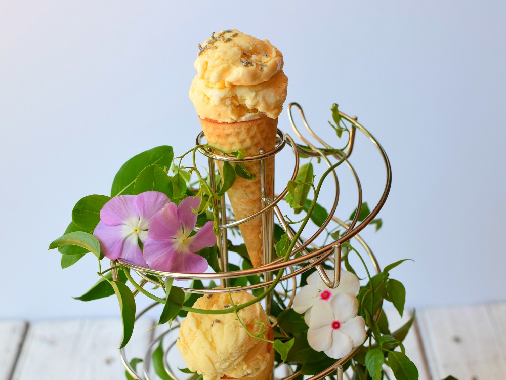 Lavender ice cream in a cone