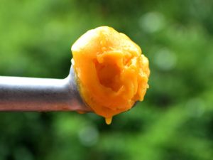 Mango Sorbet