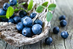 freshly picked blueberries
