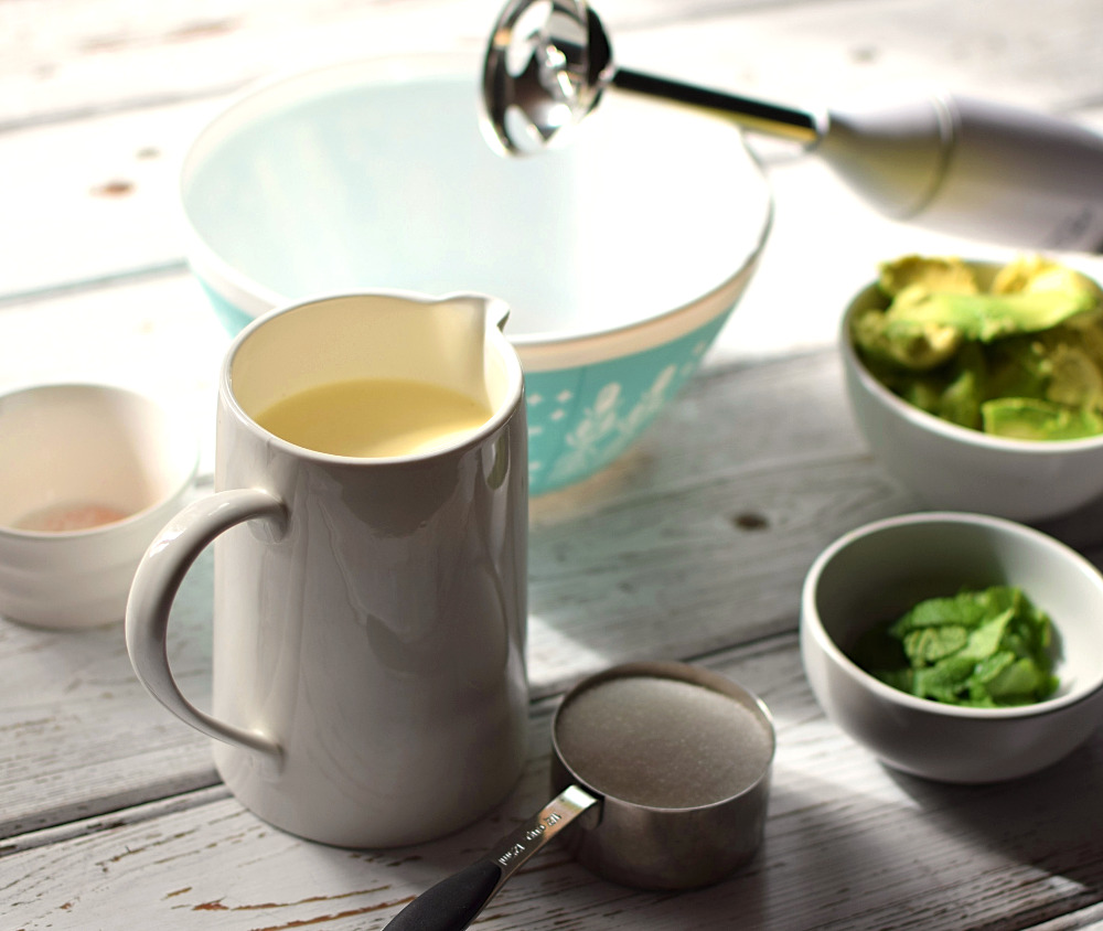 Ingredients for avocado ice cream recipe