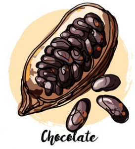 cacoa bean