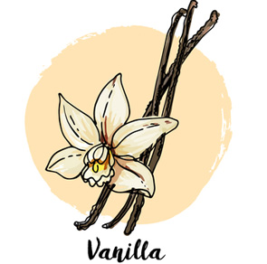 vanilla bean