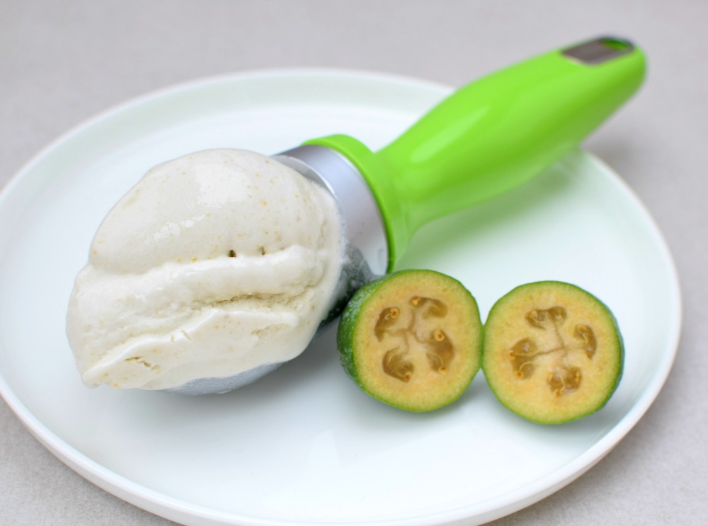 Feijoa sorbet in a scoop