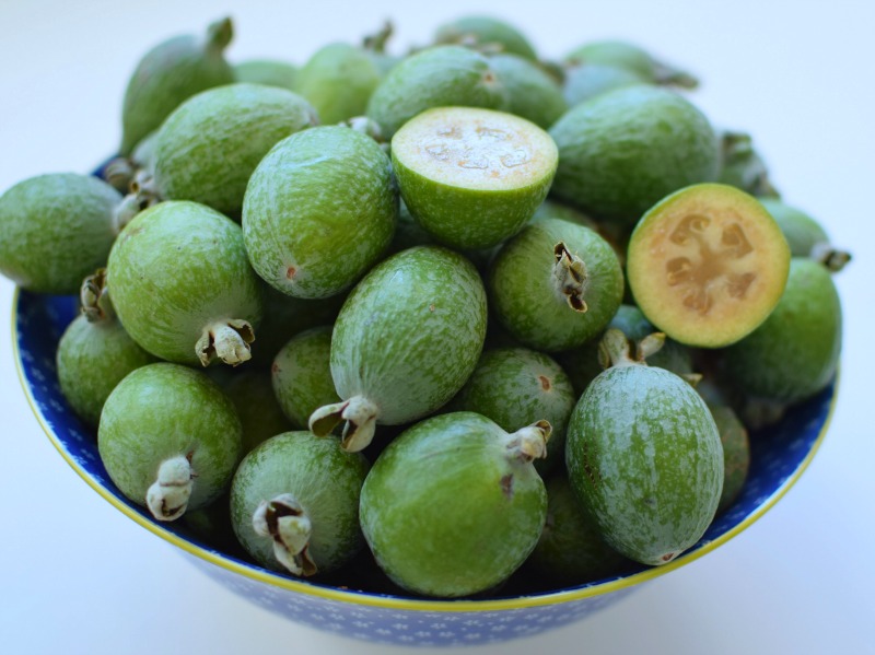 Fresh feijoas in a bowl