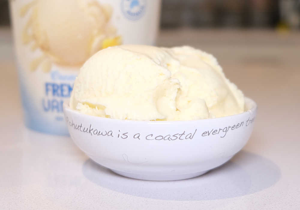 A bowl filled with Sara Lee French Vanilla Ice Cream with the pack in the background.