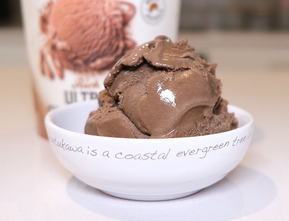A bowl of chocolate ice cream with the Sara Lee container in the background.