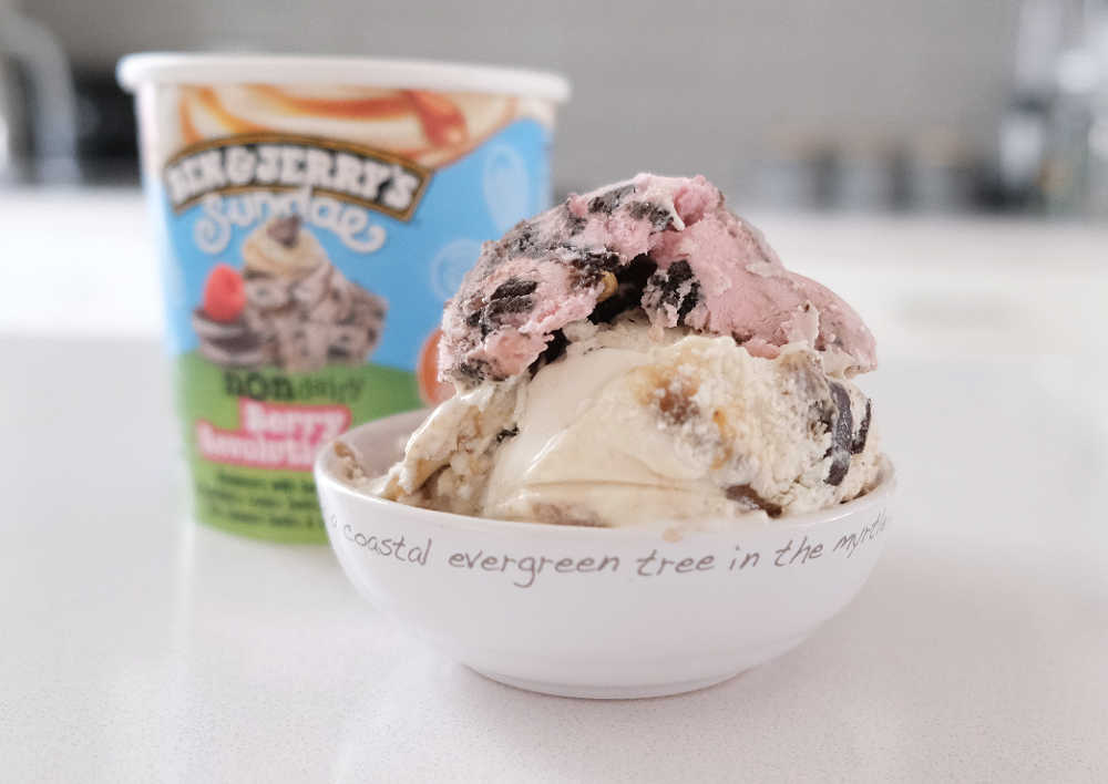 A bowl of Sundae Non Dairy Berry Revolutionary by B&J.