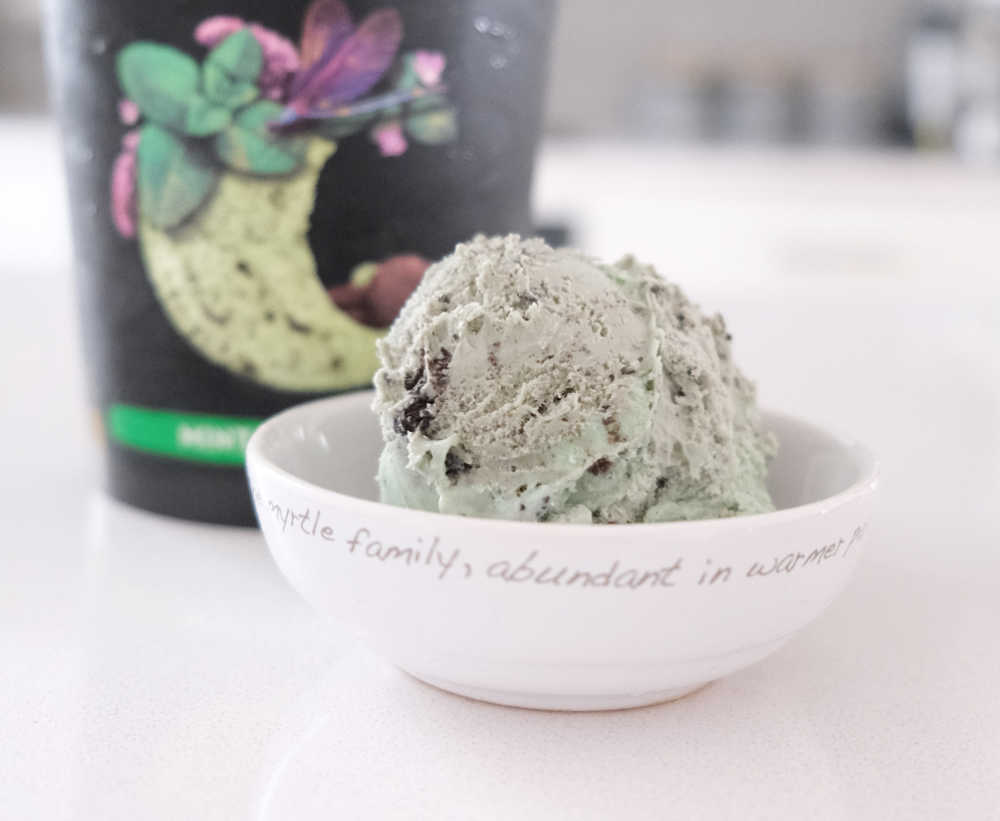 A bowl of Connoisseur Gourmet Ice Cream Mint & Cookies with the packaging in the background.