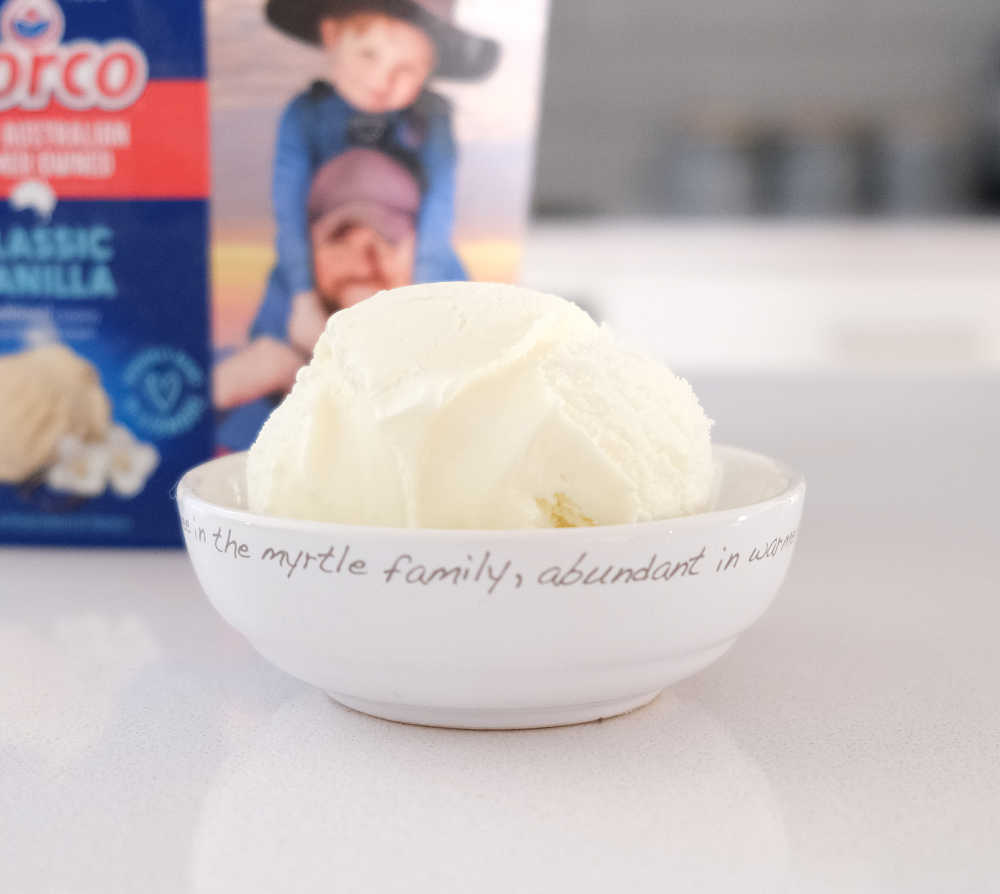 A bowl of Norco Vanilla Ice Cream.